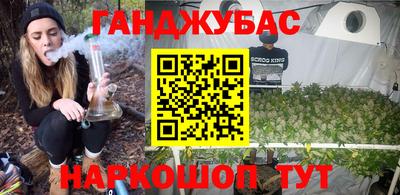 сатива Будённовск