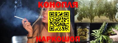 сатива Будённовск